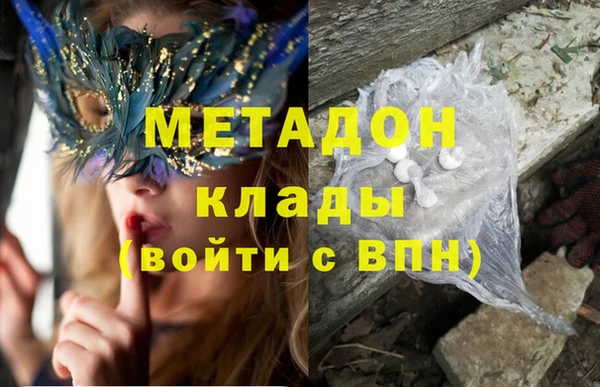 прущие грибы Нефтекумск