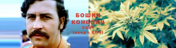 прущие грибы Нефтекумск
