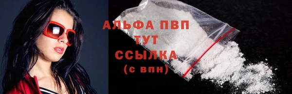 прущие грибы Нефтекумск