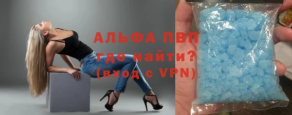 прущие грибы Нефтекумск