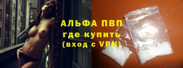 прущие грибы Нефтекумск