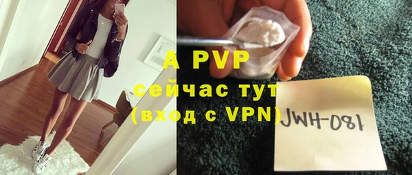 прущие грибы Нефтекумск