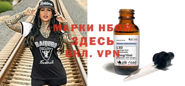 прущие грибы Нефтекумск
