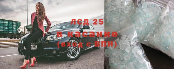 прущие грибы Нефтекумск